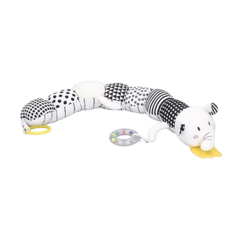 Gusanito Blanco y Negro