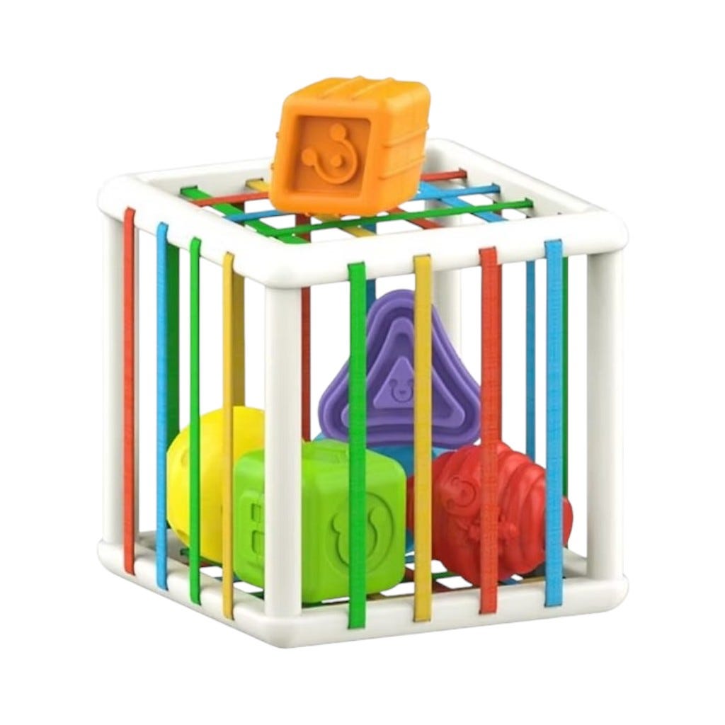 Caja Plástica de Elásticos con Accesorios
