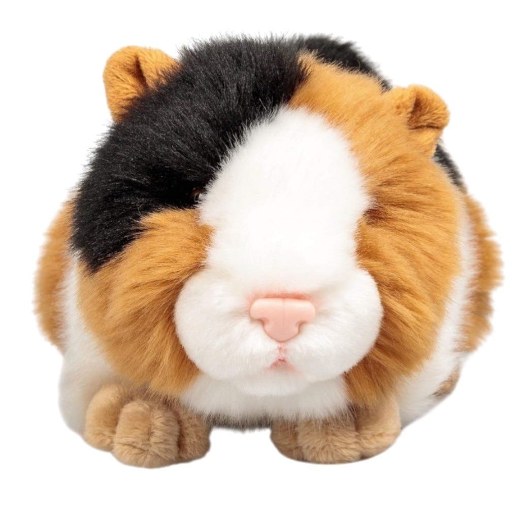 Conejillo de Indias de Peluche